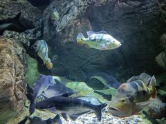 -多彩贵州城极地海洋世界