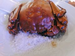 -盛焰铁板烧(王府井店)