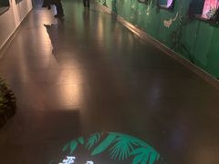 -常州海昌海洋探索馆