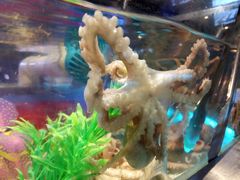 -V-ONE西雅图海鲜自助餐厅(仓山万达广场店)