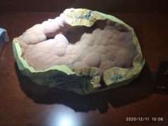 -青岛德国总督楼旧址博物馆