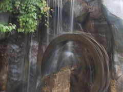 -青峰峡国家森林公园