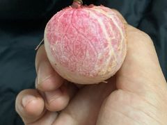 -得福农庄