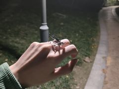 -坂吉屋·居酒屋深夜食堂(龙湖店)