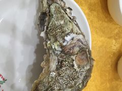 -蚝专家(北滘店)