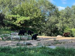 -北京野生动物园