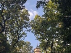 -灵谷景区