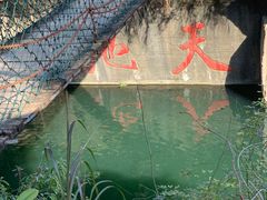 -千岛湖东南湖区