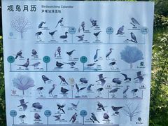 -同里国家湿地公园