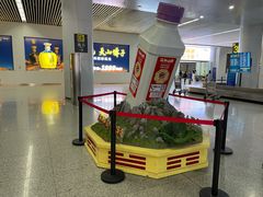 -乌鲁木齐天山国际机场-T3航站楼