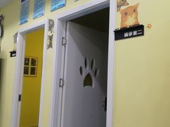 -瑞鹏宠物医院·爱宠堂·骨外专科(西荷分院)