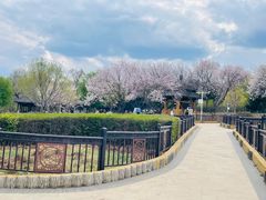 -黑龙江省森林植物园