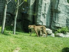 -北京野生动物园