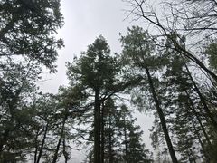 -娄山关景区