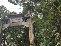 -梧桐山风景名胜区