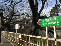 -名古屋城