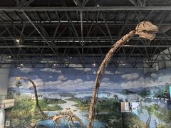 -自贡恐龙博物馆