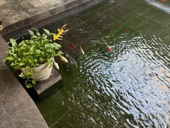 -天津海河悦榕庄·Lobby Lounge大堂吧