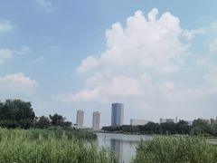 -天津金海湖