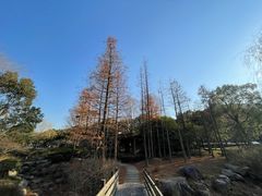 -宝界山林公园
