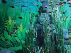 -上海海洋水族馆