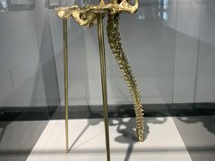 -中国地质博物馆