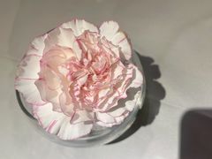 -眉州东坡(石景山店)