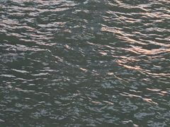 -演武大桥观景平台