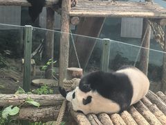 -大连森林动物园