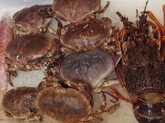 -青石桥市场北1-27号