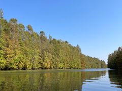 -上海海湾国家森林公园