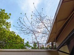-山野咖啡(之江花园店)