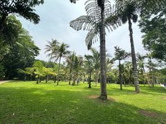 -中国科学院西双版纳热带植物园