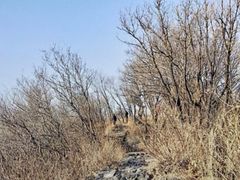 -帽儿山国家森林公园