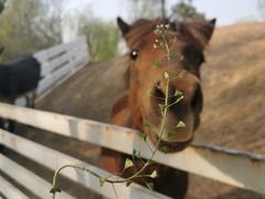 -酷鱼垂钓CLUB(朝阳区博大路店 )