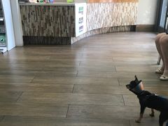 -爱侣·安琦尔宠物医院·中兽医针灸·心内科·狂犬免疫点(宝山区院)