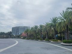 -宝安西湾红树林湿地公园