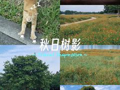 -海珠湖公园