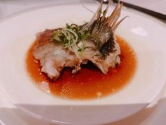 -伯衡55·吉品轩(乌鲁木齐南路店)