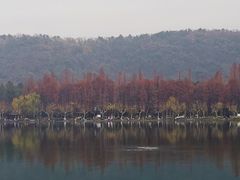 -西湖外事游船(花港观鱼码头)