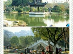 -花溪公园