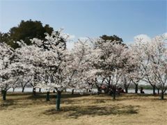 -幕燕滨江·长江观音景区