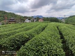 -双门农庄(南源岭店)