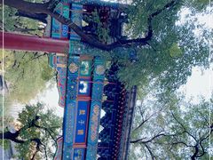 -北京国子监胡同