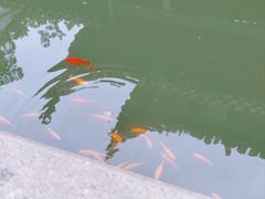-岳麓书院
