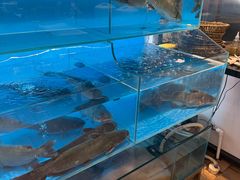 -天和晟新京菜.水煮鱼.湘土菜(国展店)