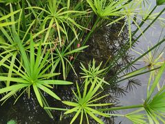 -成飞公园