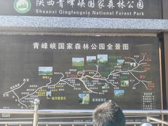-青峰峡国家森林公园
