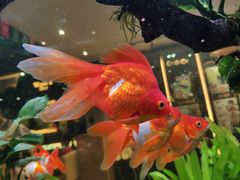 -大家乐(广州荔湾领展广场店)