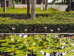 -三亚海棠湾万丽度假酒店